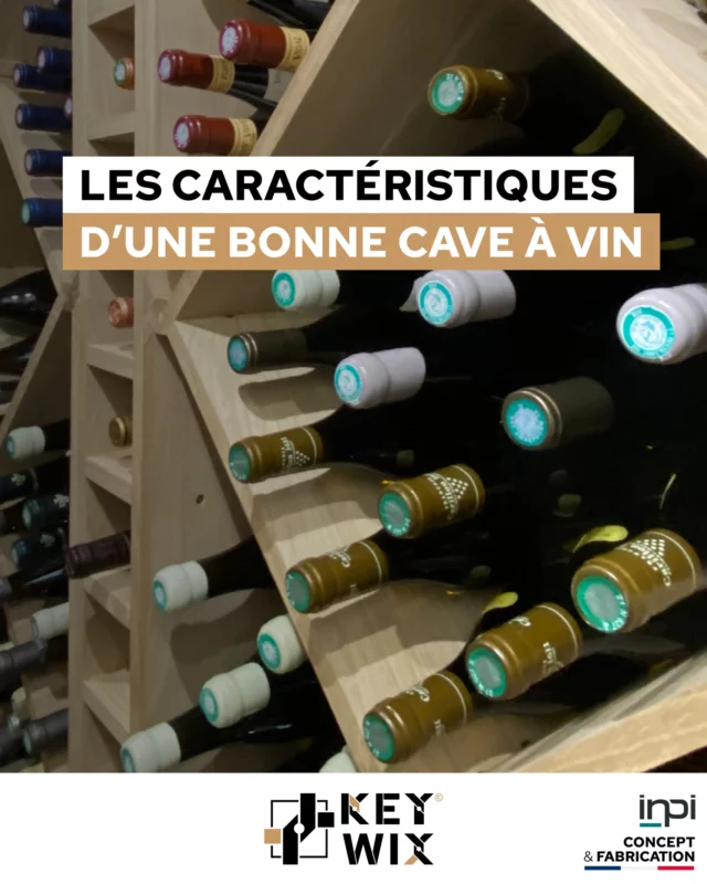 CARACTÉRISTIQUES D'UNE BONNE CAVE À VIN 🍷

Pour conserver vos bouteilles dans les meilleures conditions, voici quelques caractéristiques essentielles d'une bonne cave à vin :

🍇 Un lieu sombre et clos, à l’abri des trépidations et du bruit.
🍇 Une protection contre les courants d’air, mais bien ventilée.
🍇 Ne pas stocker vos produits d’entretien, peintures ou fruits et légumes à côté de vos bouteilles. Les mauvaises odeurs peuvent altérer la qualité de votre vin.

Prenez soin de votre collection et découvrez nos solutions de rangement KEYWIX pour une cave à vin optimisée ! 😍👉 https://keywix.fr/produit/kit-cave-vin-carre/

#madeinfrance #caveavin #vin #keywix